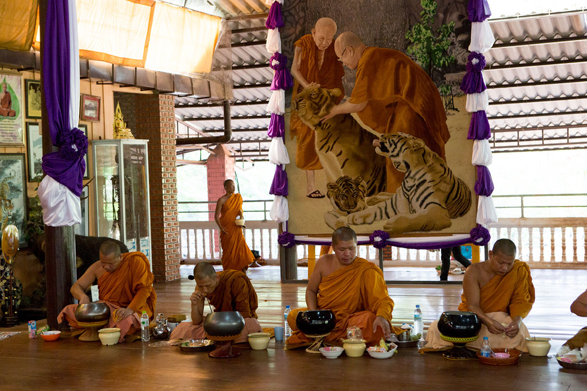 Monks eat breakfast in the temple portion of the Tiger Temple grounds. The Tiger Temple was founded in 1994 as just another monastery. 