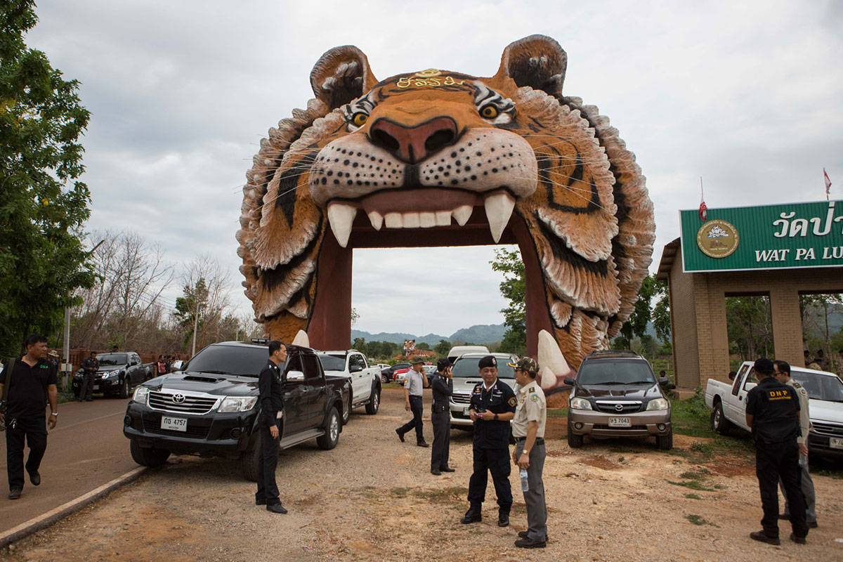 Department of National Parks, Wildlife and Plant Conservation [DNP] officers surround the entrance of the Tiger Temple grounds as they await for a court order to enter the grounds and remove the tigers. 