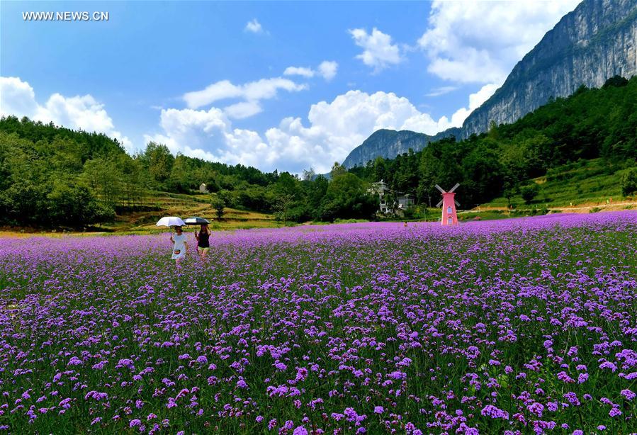 Flowers in Central China Village 4