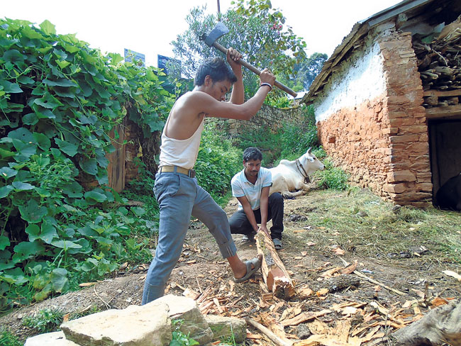 Prakash BK chops logs in front of his home. (Nirmala)