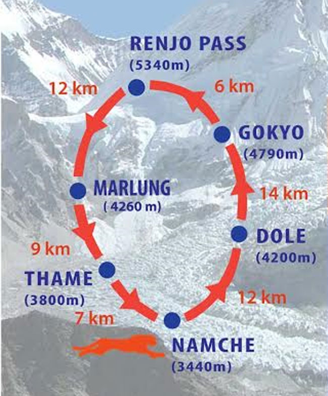 marathonmap