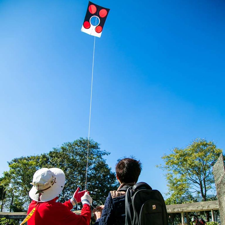 kite flying festival at Korean embassy