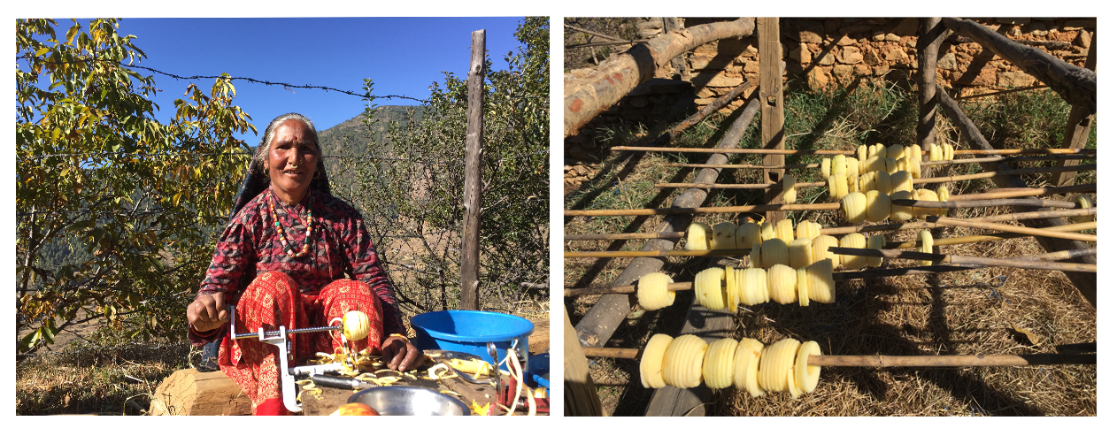 Rupa Rokaya, 52, (above) is a successful entrepreneur and makes a profit selling fresh and dried apples after the Karnali Highway linked Jumla to Surkhet.  