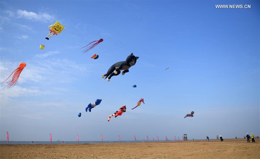 Participants fly kites during a kite fair in Qinzhou, south China's Guangxi Zhuang Autonomous Region, Dec. 3, 2016. Kites-flying fans from China and abroad took part in the fair on Saturday. 